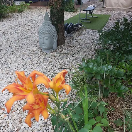 Nono Casa de hóspedes 3*